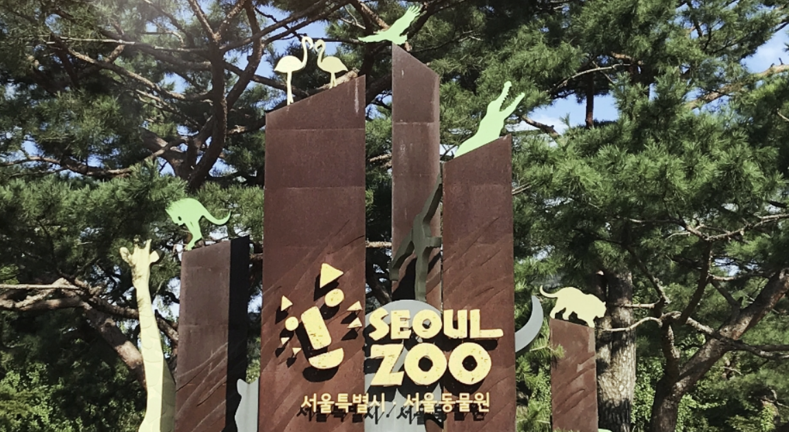 서울 근교 주말에 아이와 가볼만한곳 3가지 추천! 최신 ver.