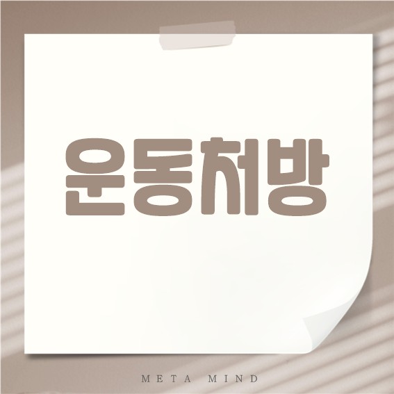 운동처방 완벽 정리: 과학적 원리와 실천 방법