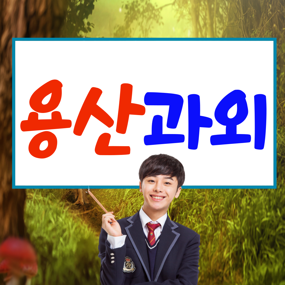  용산 고등 한강로 중등 영과외 이촌동 영어과외 개념이해