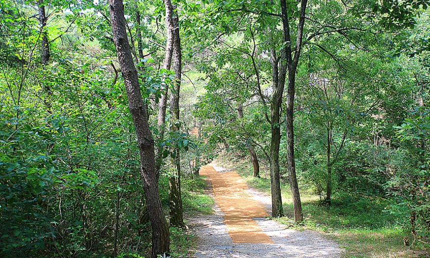 산책로