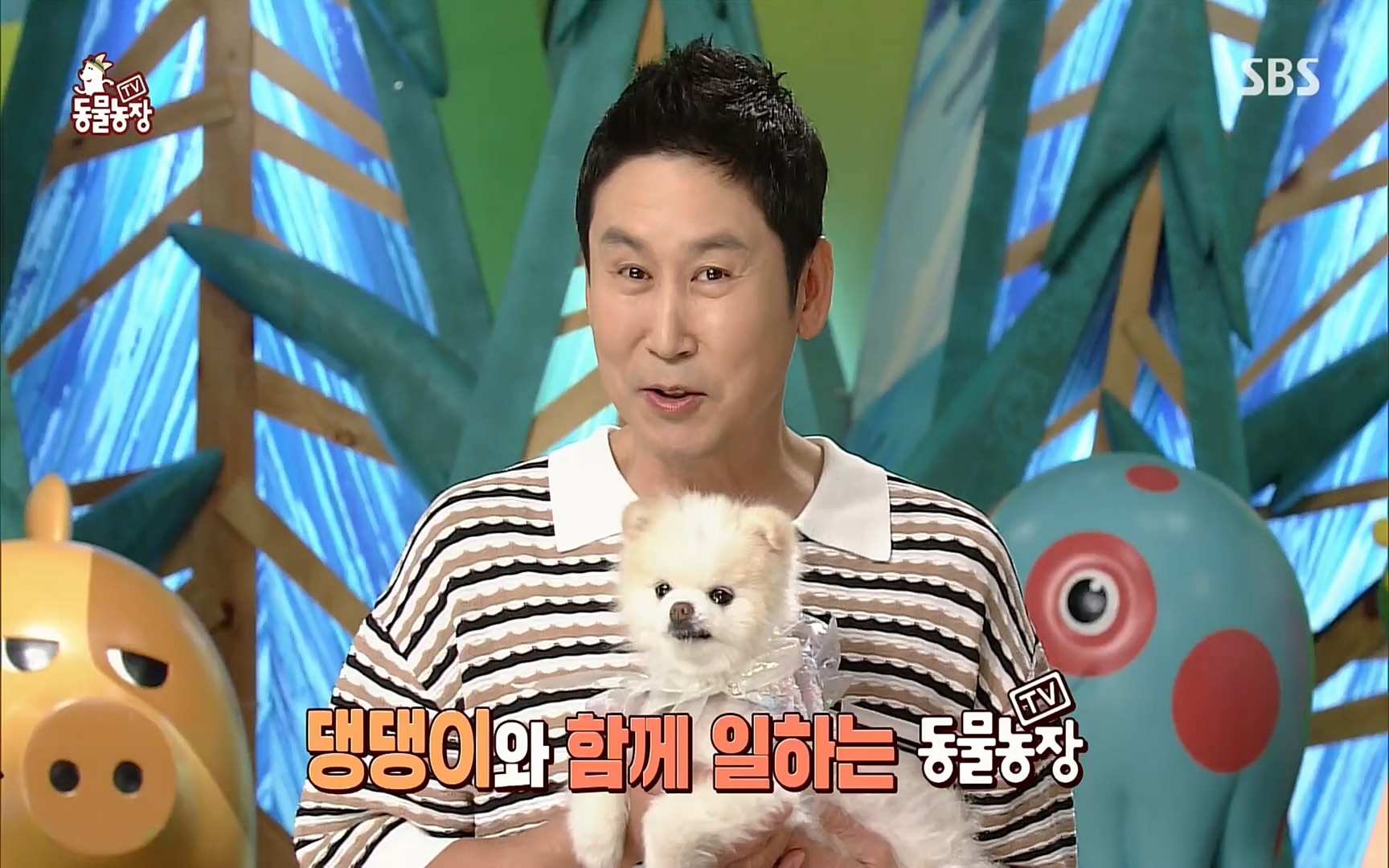 TV 동물농장.E1073.220612p.H264-F1RST.mp4_20220612_181332.400.jpg