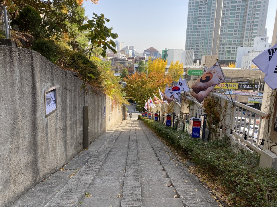 대구우리투어 이미지