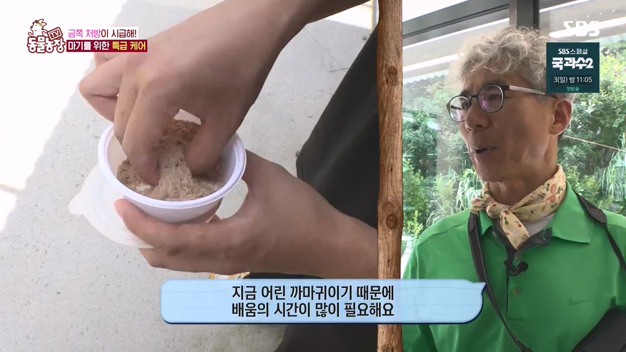 TV 동물농장.E1135.230828p-NEXT.mp4_20230827_180824.704.jpg