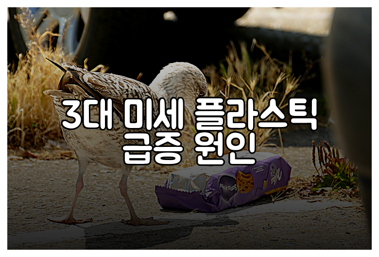 3대 미세 플라스틱 급증 원인