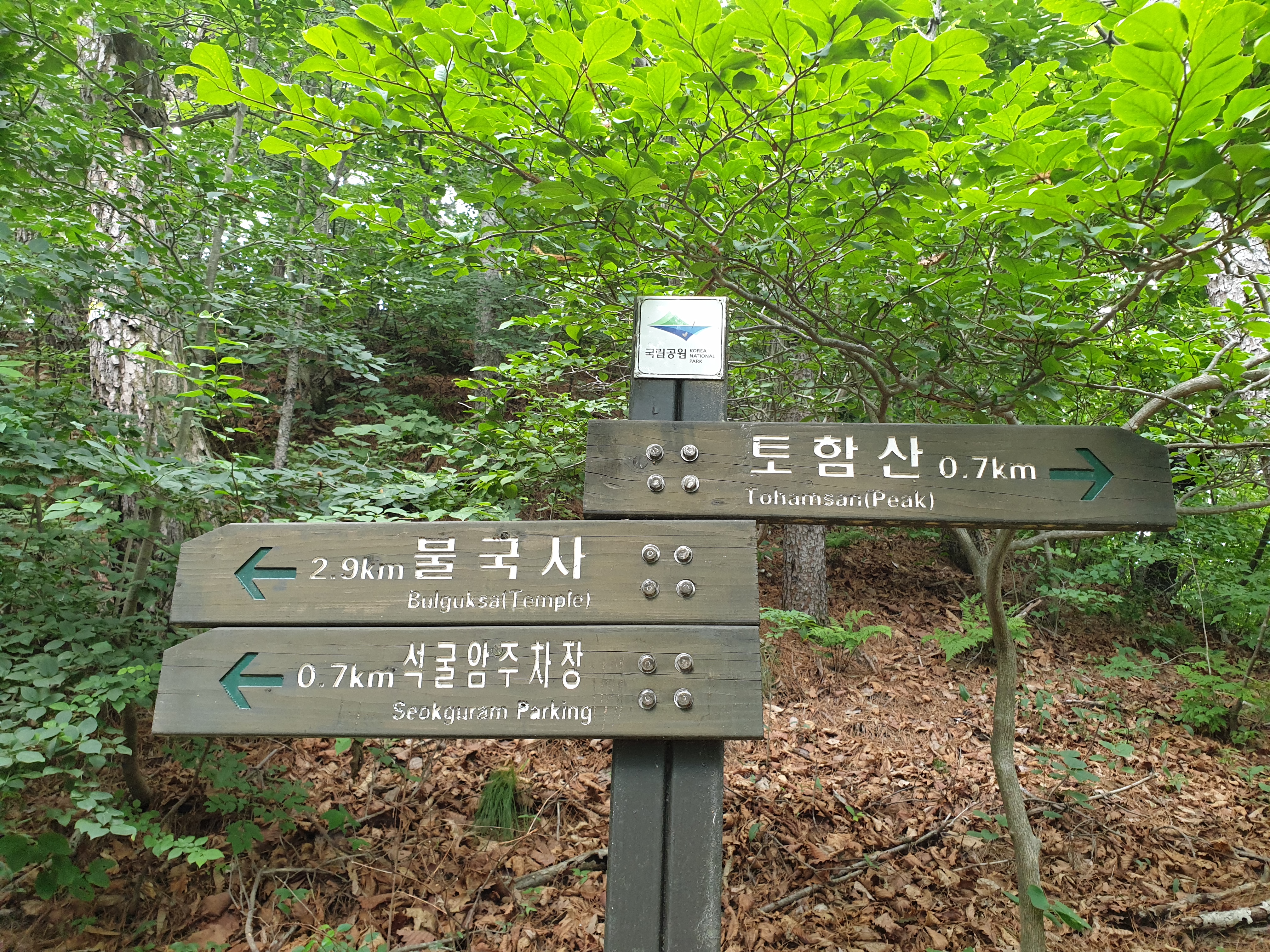 불국사밀면 이미지