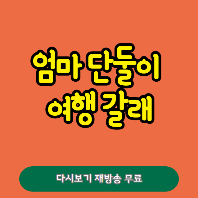 엄마 단둘이 여행 갈래 다시보기 재방송 무료