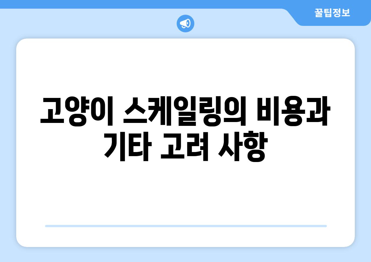 고양이 스케일링의 비용과 기타 고려 사항