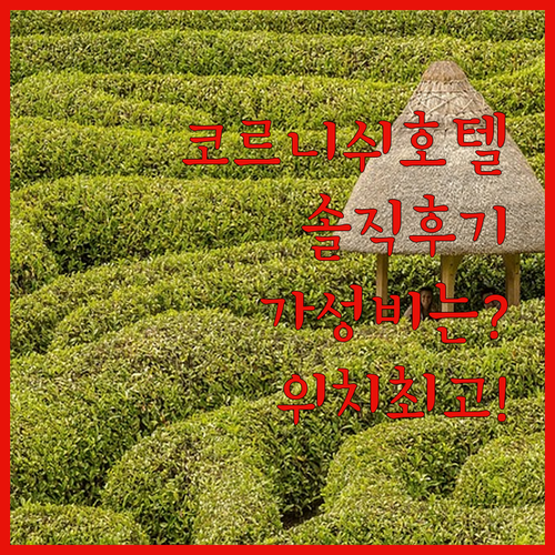 코르니쉬 호텔 아부다비.. 솔직 후기