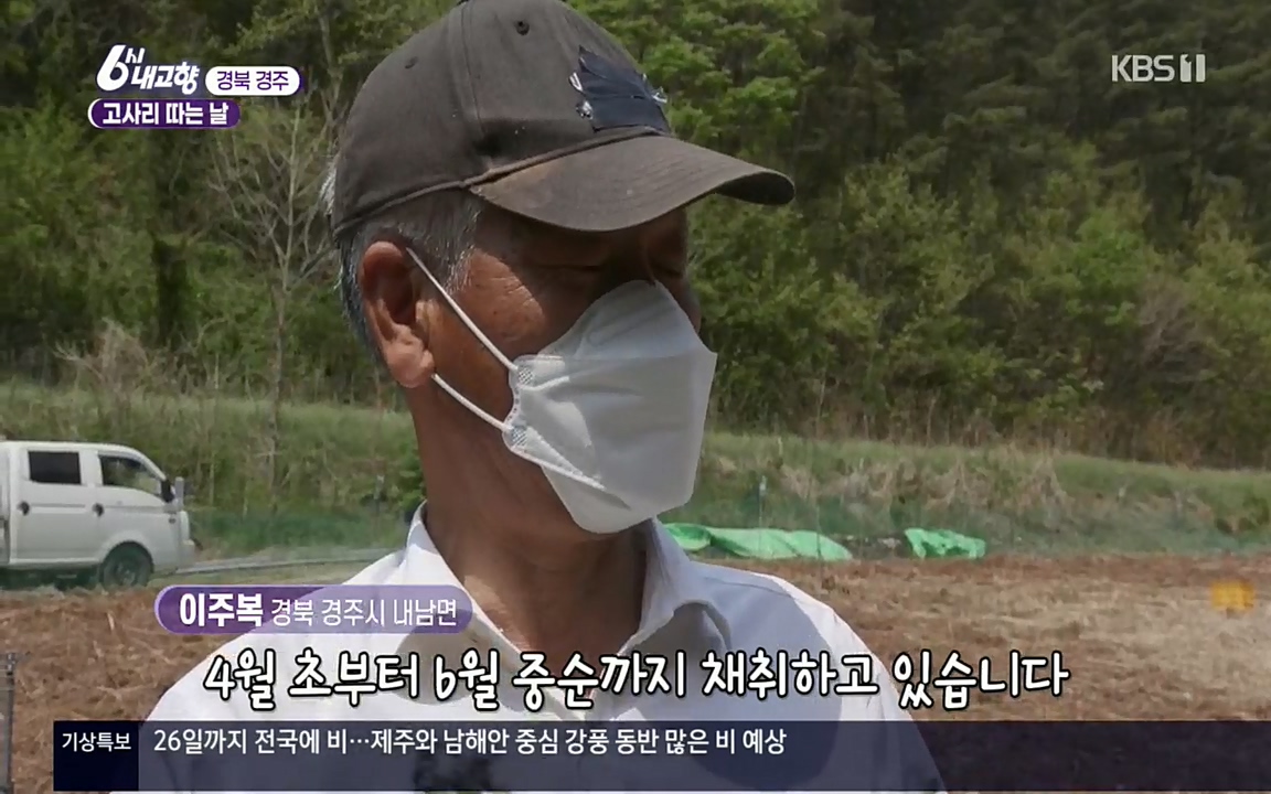6시 내고향.E7518.220426p.H264-F1RST.mp4_20220504_185141.151.jpg