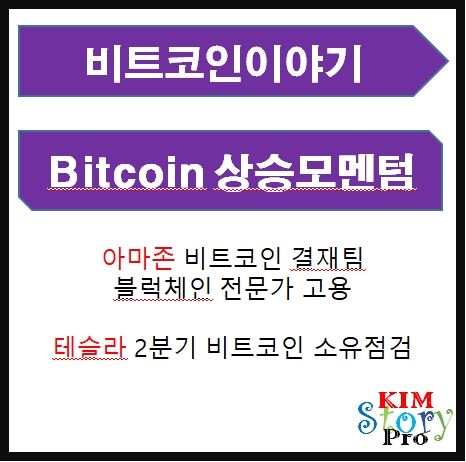  비트코인 15%상승! 호재와 점검해야 할 부분