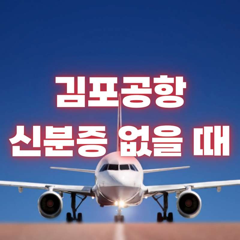 김포-공항-신분증-없을-때