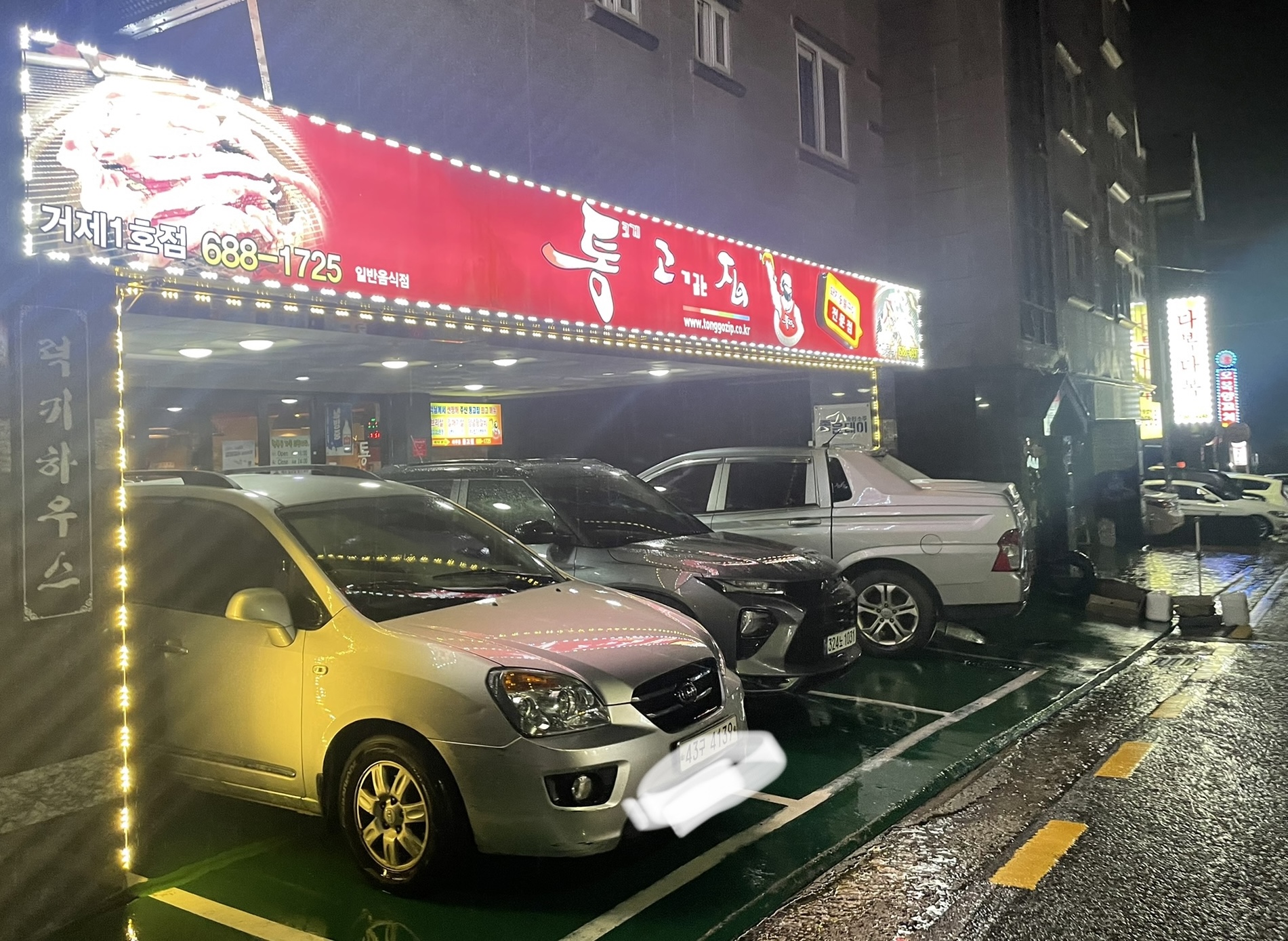 통고집거제 이미지