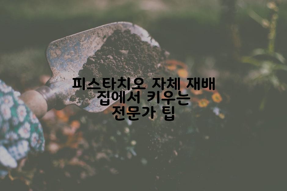 피스타치오 자체 재배 집에서 키우는 전문가 팁