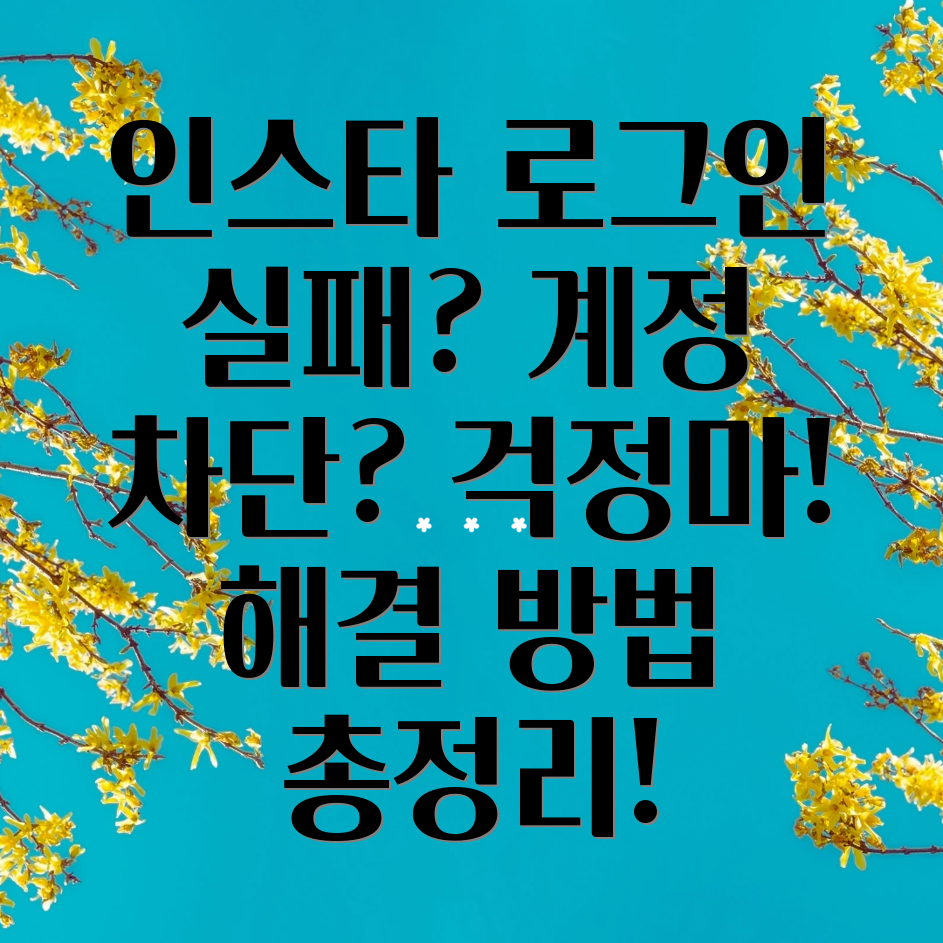 인스타그램 로그인 불가