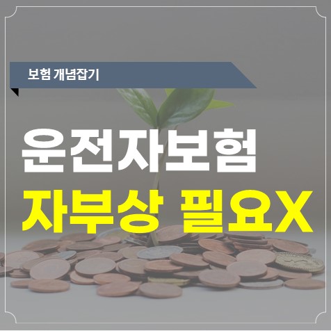  운전자보험에 자부상 자부치 14급이 필요없는 3가지 이유