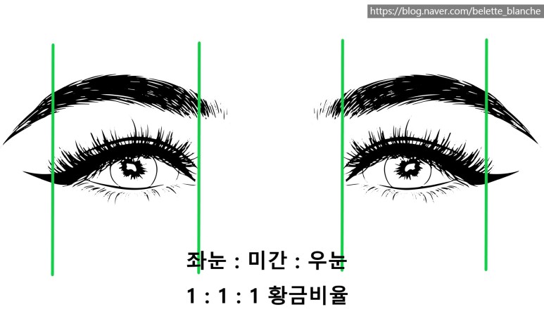  눈관상 눈모양관상 - 쌍꺼풀수술 성형관상 짝눈 눈꼬리 미간 좋은눈 나쁜눈