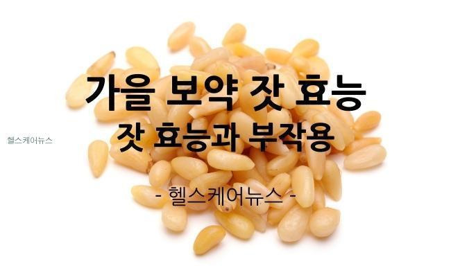 헬스케어뉴스