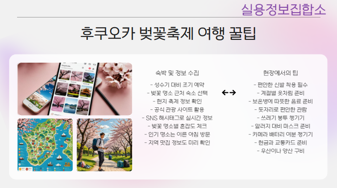 후쿠오카 벚꽃축제