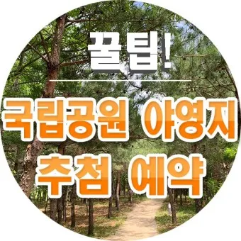 국립공원예약통합시스템 바로가기 예약_11