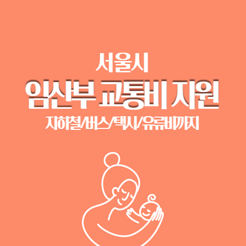  임산부 교통비 70만원 지원, 버스/택시/유류비까지