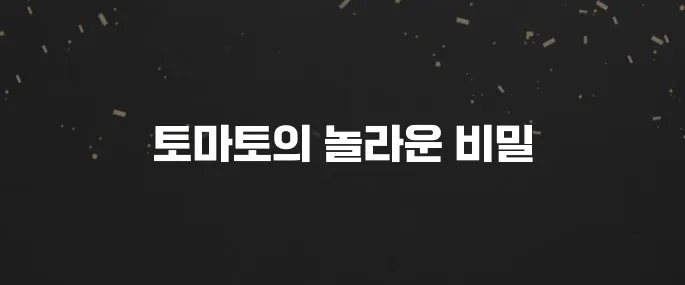 매일 먹으면 좋은 토마토 효능 5가지 (영양 성분 분석)