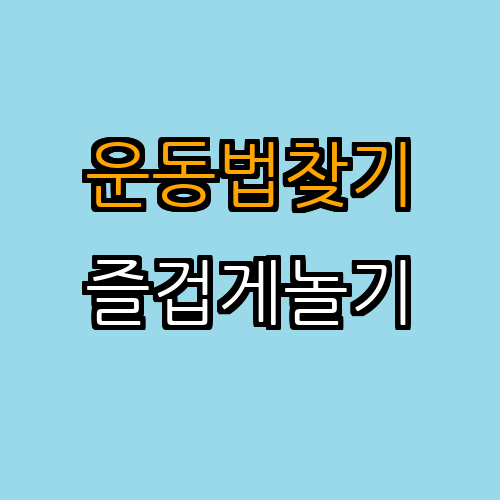 2. 고양이에게 맞는 운동 방법 찾기