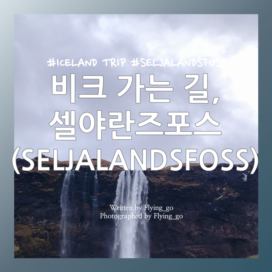  [겨울 아이슬란드 여행 DAY 4] 비크 가는 길: 셀야란즈포스 (Seljalandsfoss), 셀야란즈포스 주차