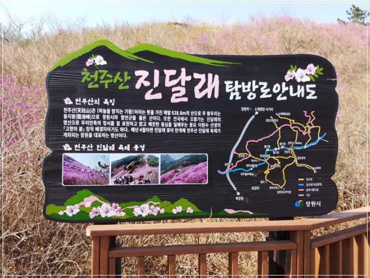  4월 봄 진달래 산행지추천 - 창원 천주산 초보 등린이 등산코스