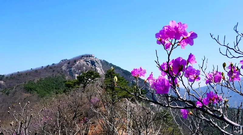 밀양 북암산 문바위 억산