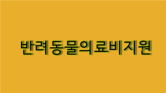  최대 50만원까지 받을 수 있는 반려동물 의료비 지원!!