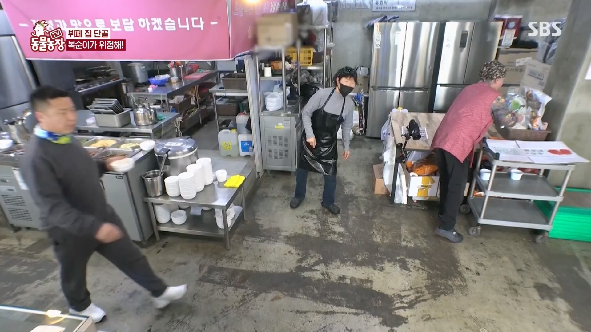 TV 동물농장.E1116.230416p.H264-F1RST.mp4_20230418_194201.661.jpg