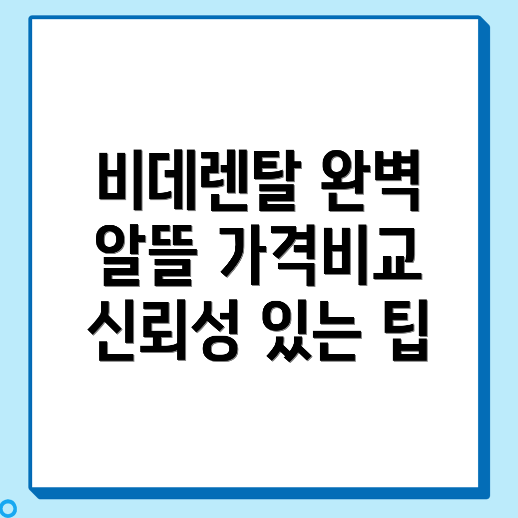 비데렌탈 가격