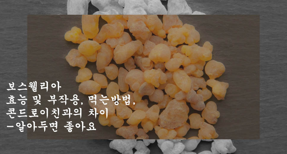  보스웰리아 효능 및 부작용, 먹는방법, 콘드로이친과의 차이-알아두면 좋아요