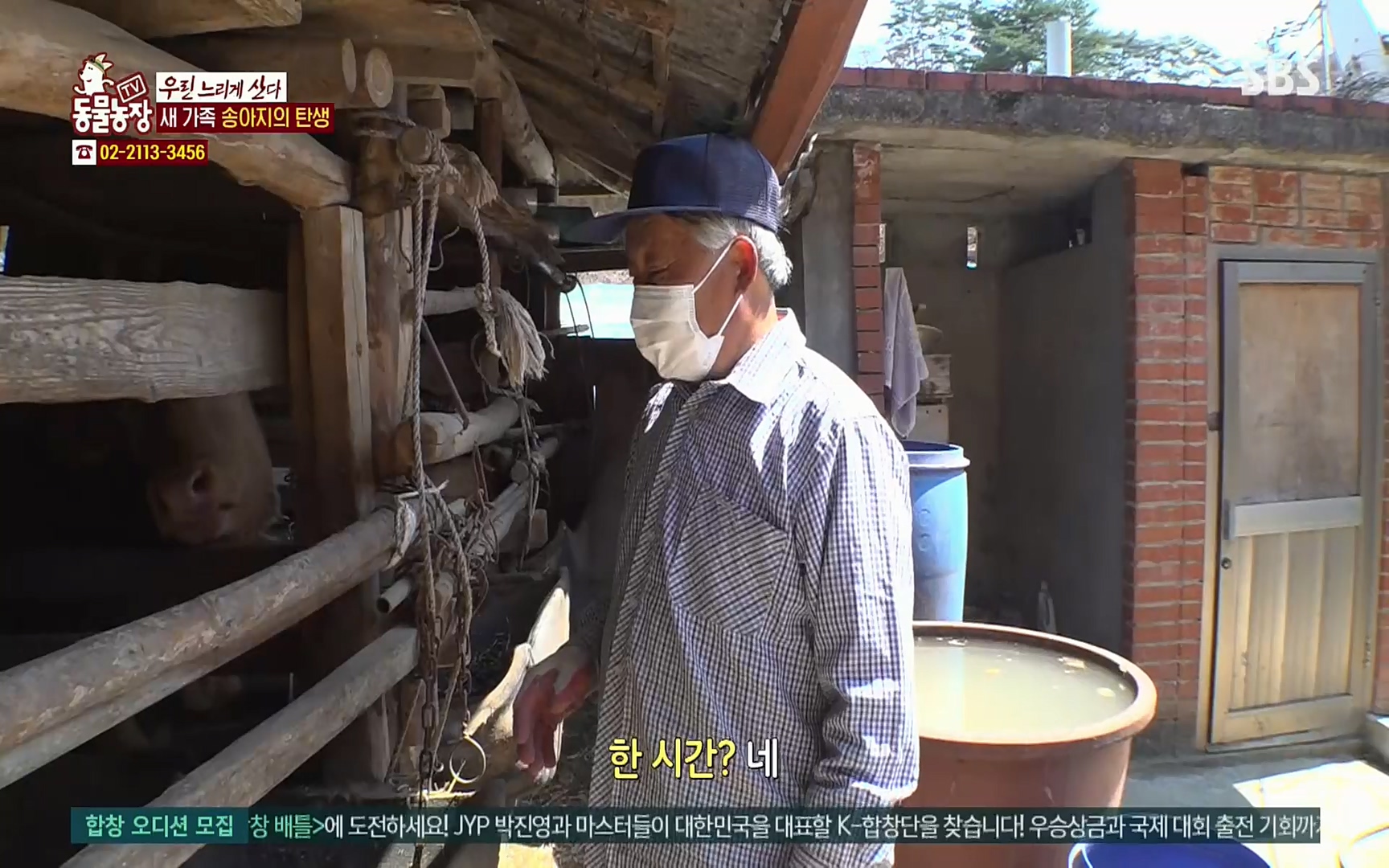 TV 동물농장.E1067.220501p.H264-F1RST.mp4_20220501_183434.302.jpg