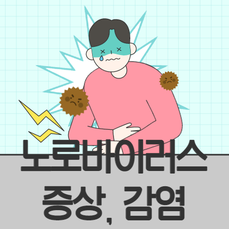 노로바이러스 증상