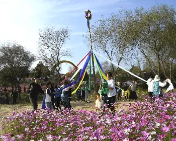 함평 국화축제_21