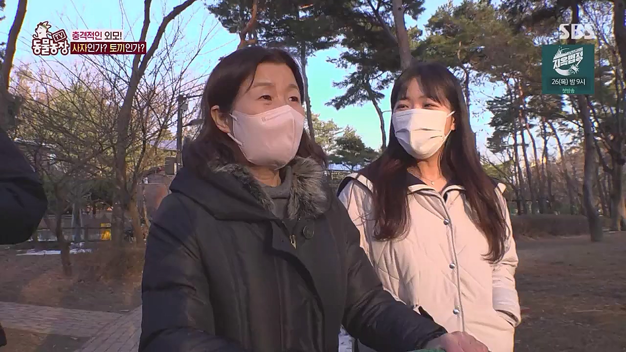 TV 동물농장.E1104.230123p.WANNA.mp4_20230123_195419.351.jpg