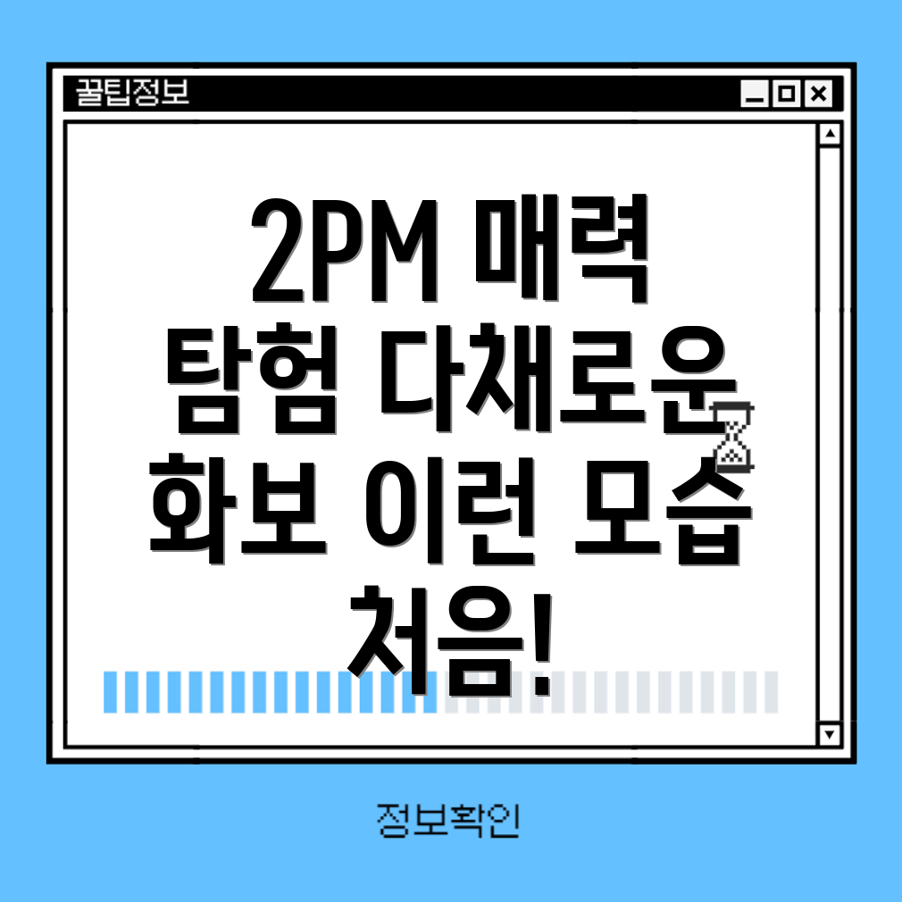 2PM 매력