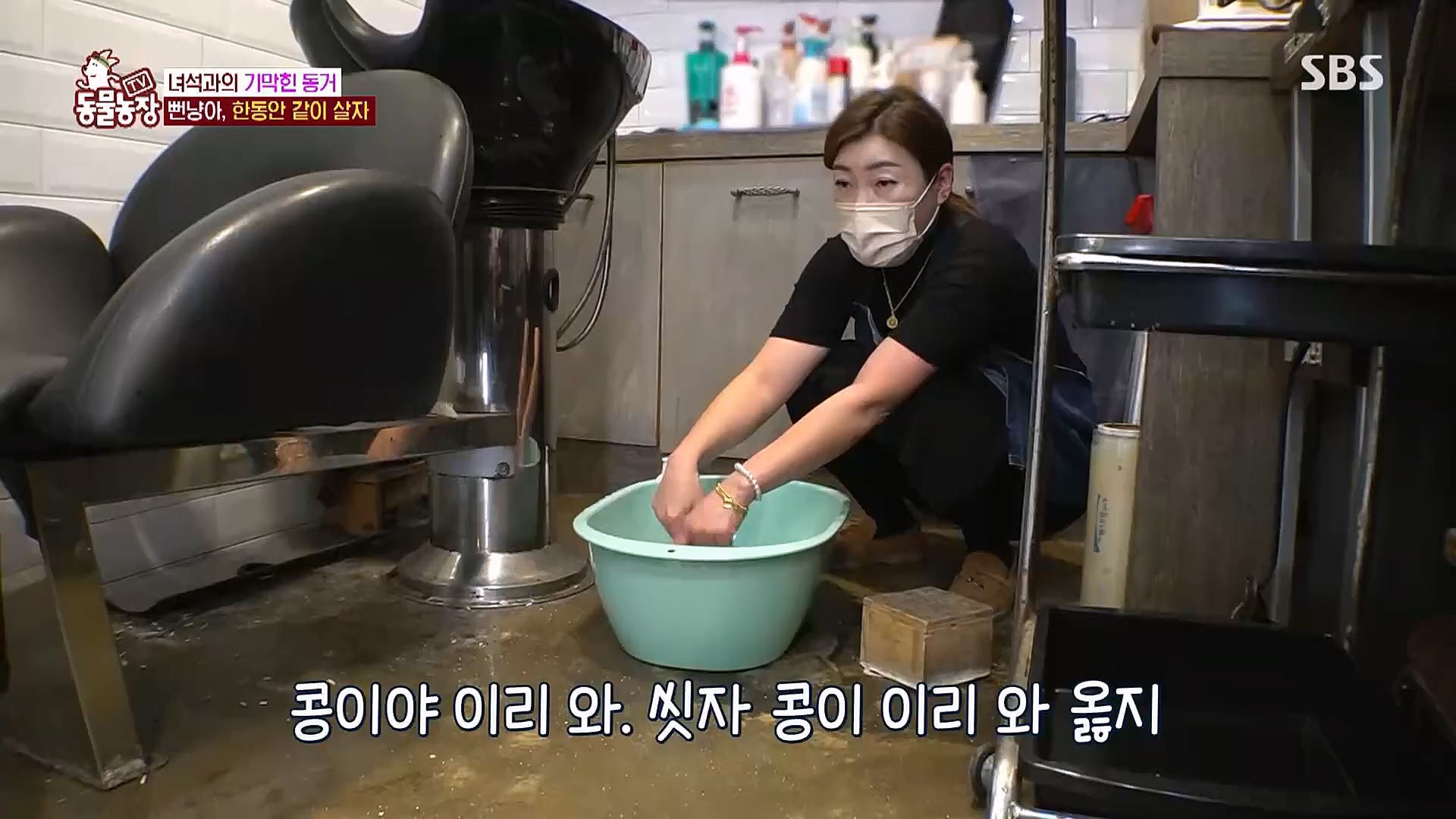 TV 동물농장.E1104.230115p.H264-F1RST.mp4_20230115_173211.640.jpg