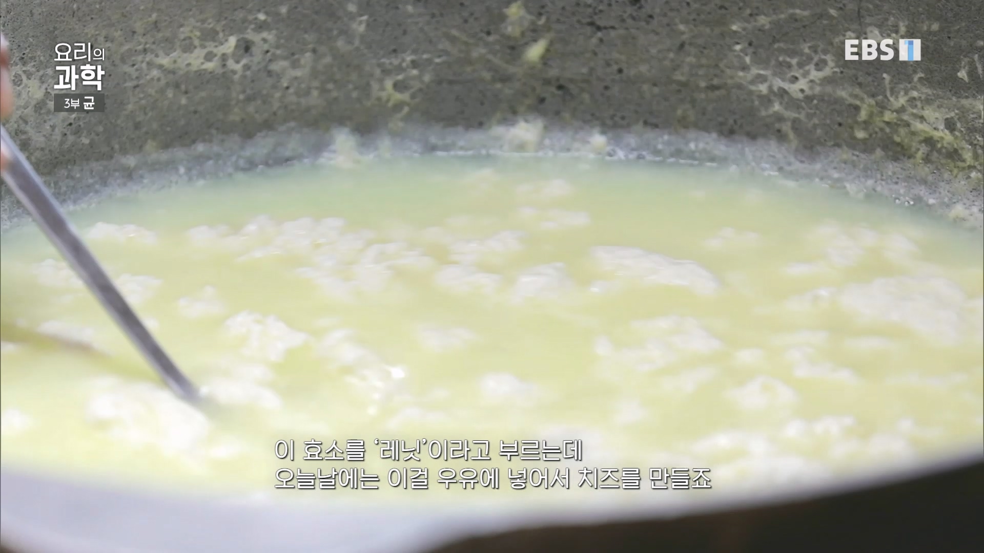 EBS 다큐프라임.201207.요리의 과학 - 3부 균0p.mp4_20240411_202631.050.jpg