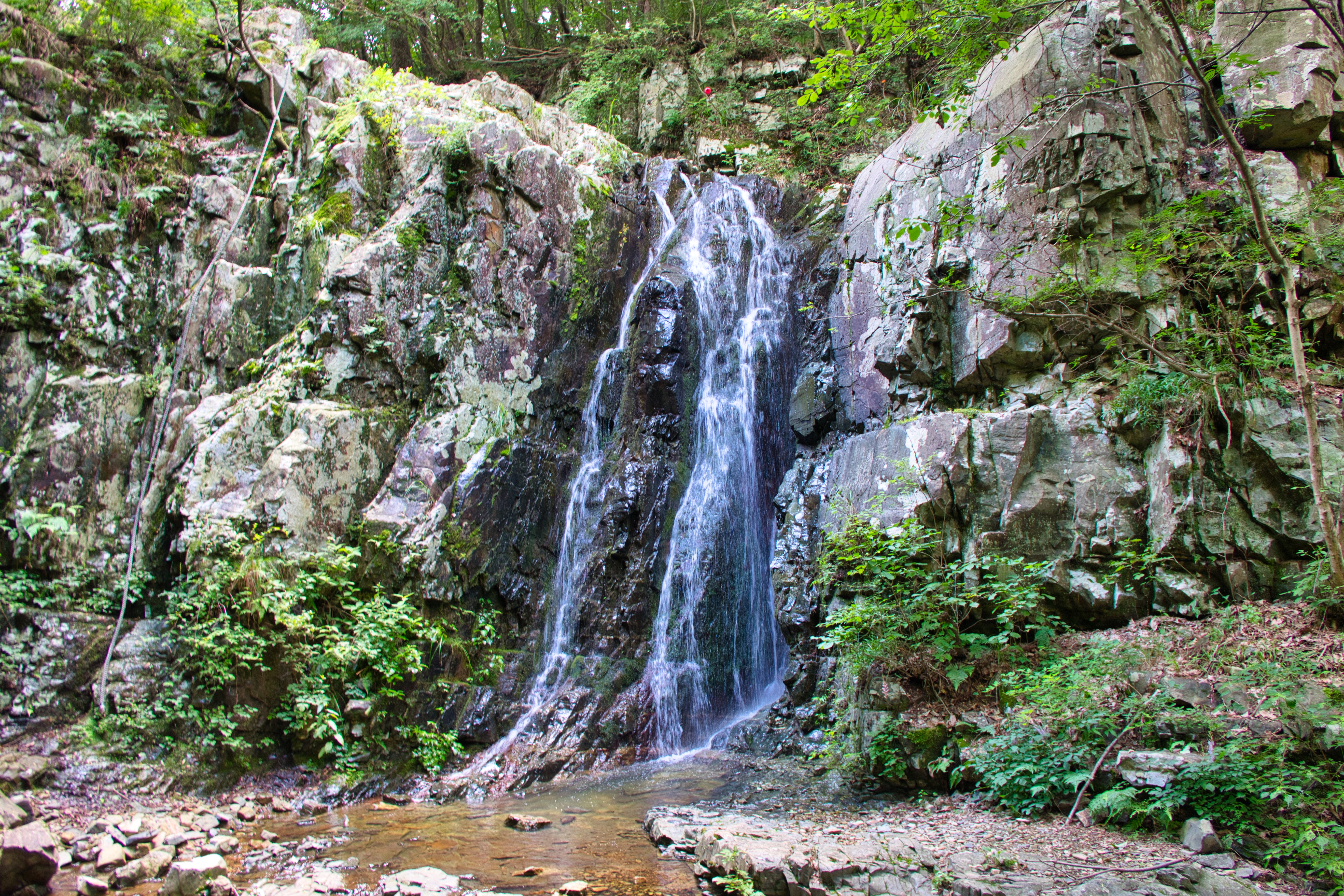 img.jpg