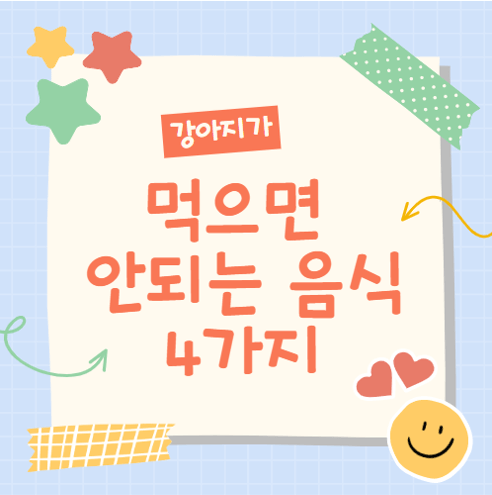  우리집 강아지가 절대 먹으면 안되는 음식