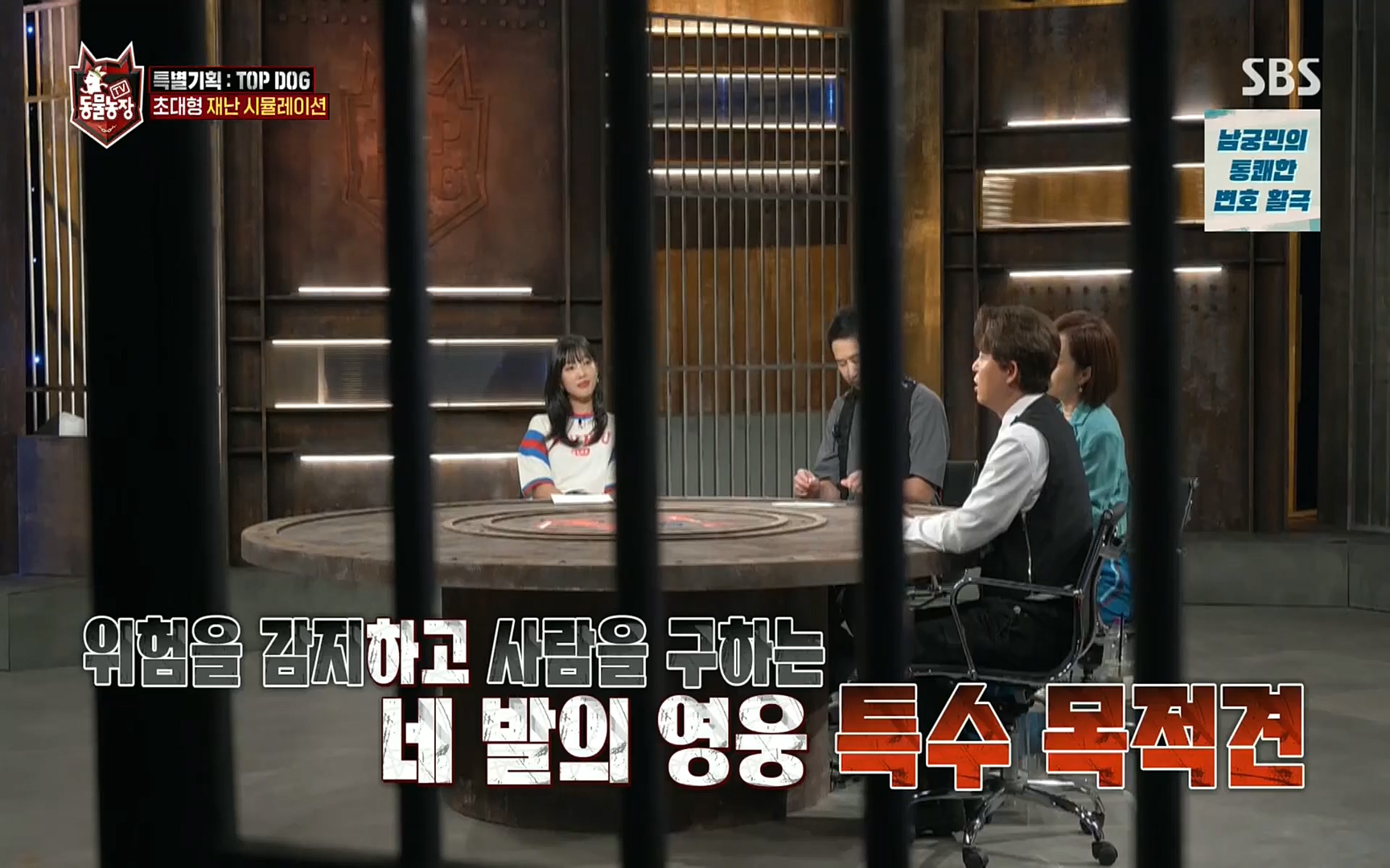 TV 동물농장.E1086.220911p.H264-F1RST.mp4_20220911_175413.489.jpg