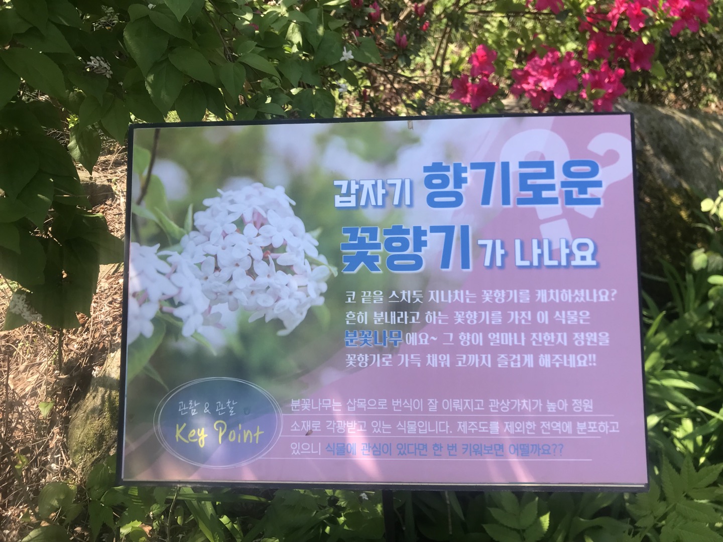  가평 아침고요수목원