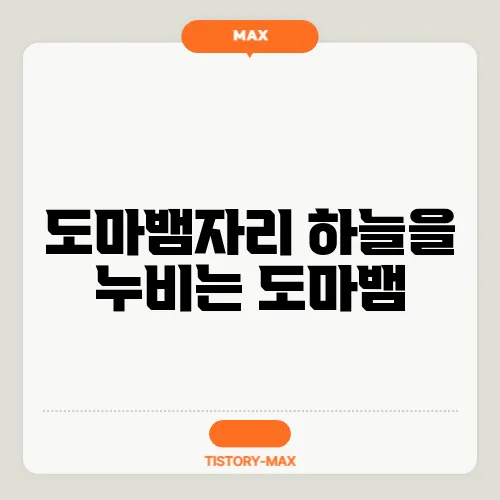 도마뱀자리 하늘을 누비는 도마뱀