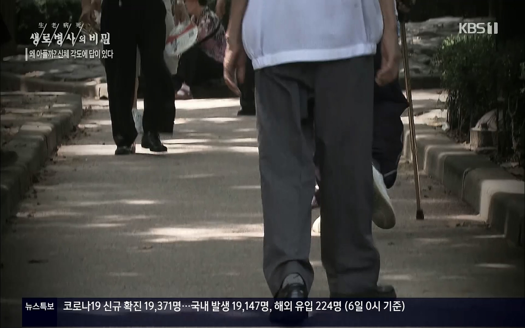 생로병사의 비밀.E825.220706p.H264-F1RST.mp4_20220707_185759.136.jpg