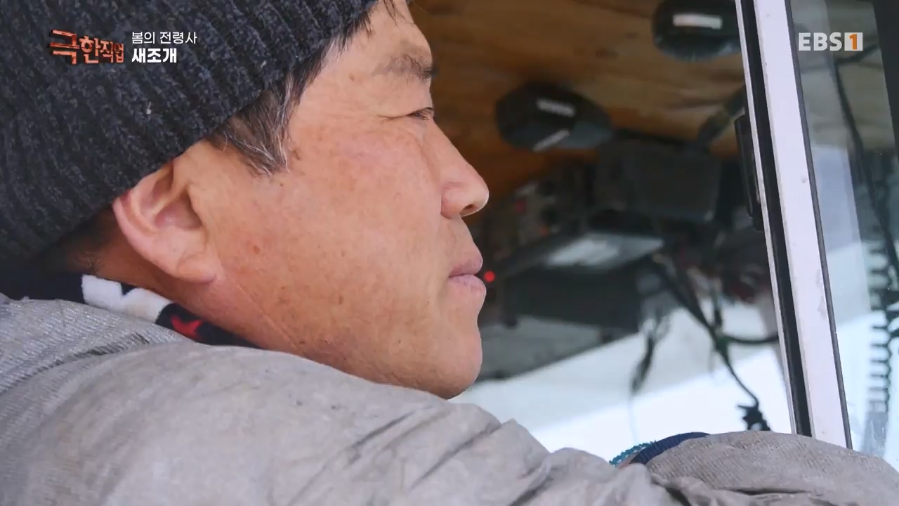 TV - 전 국민의 평생학교 EBS봄의 전령사! 새조개, 미나리, 주꾸미.mp4_20240316_171246.190.jpg