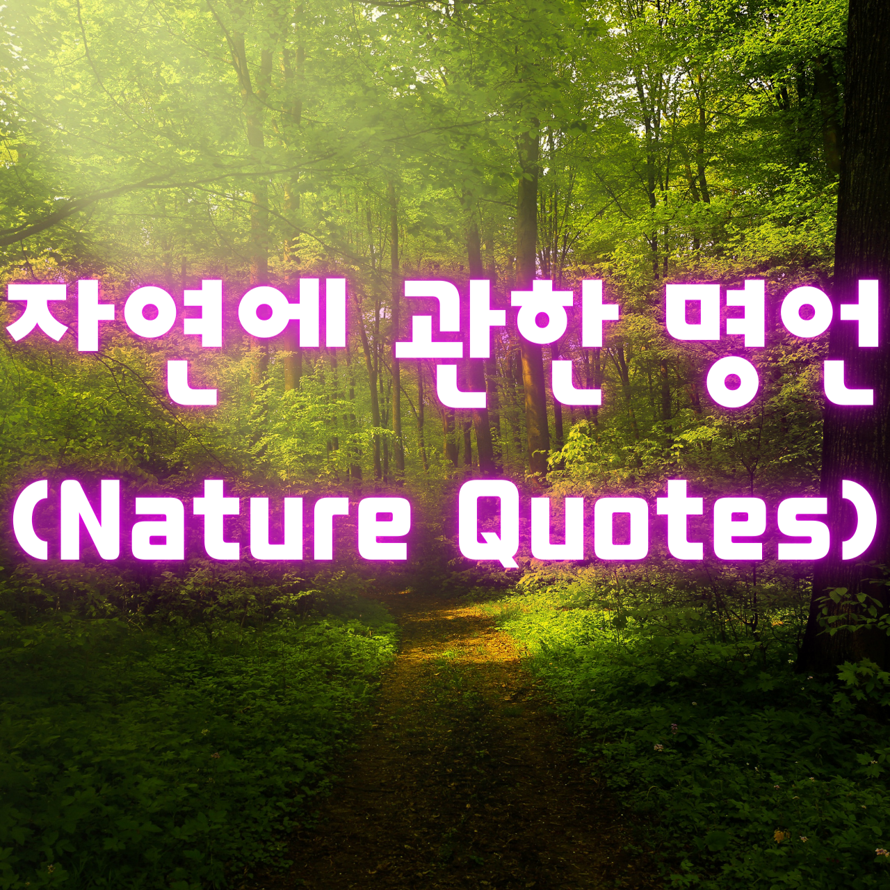 자연에 관한 명언 (Nature Quotes)