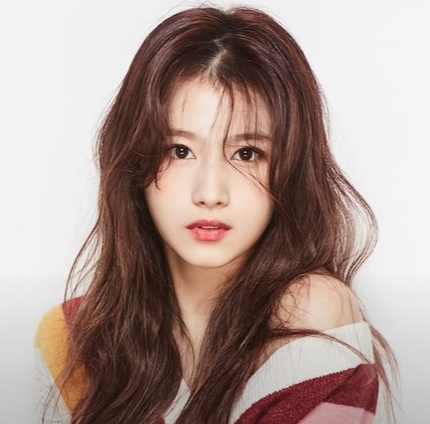  큐티섹시 트와이스 사나, 그녀에 대한 모든 것