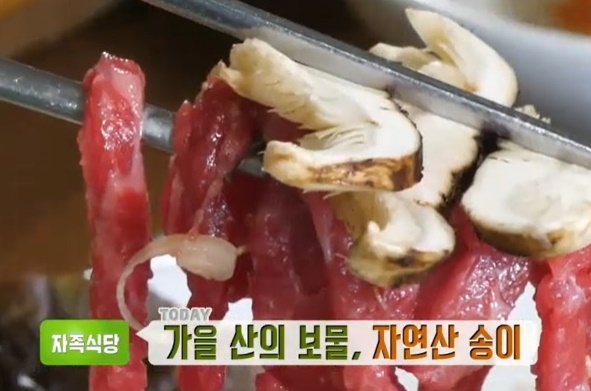 생방송투데이 자족식당 자연산송이 송이불고기 송이육회 식당위치 6